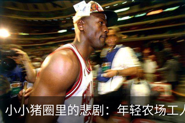 小小猪圈里的悲剧：年轻农场工人被“巨猪”压晕